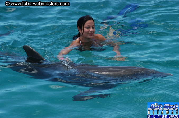 Saturday'sDolphin Swim Adventure and Animal Encounter 2004