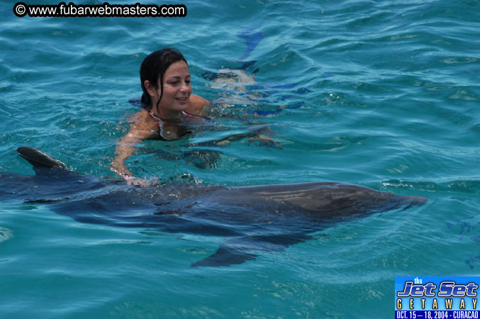 Saturday'sDolphin Swim Adventure and Animal Encounter 2004