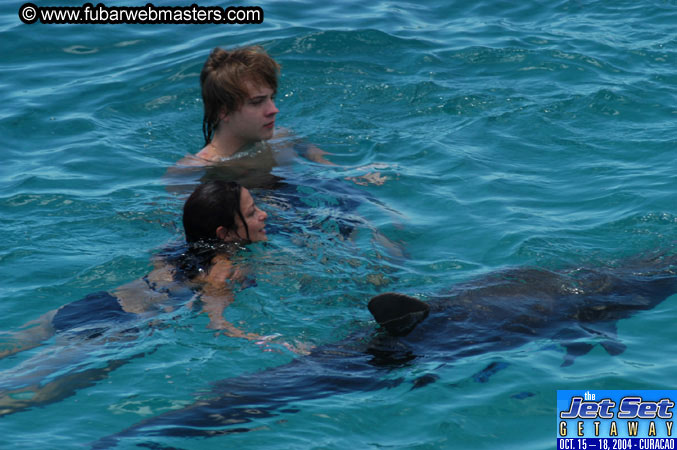 Saturday'sDolphin Swim Adventure and Animal Encounter 2004