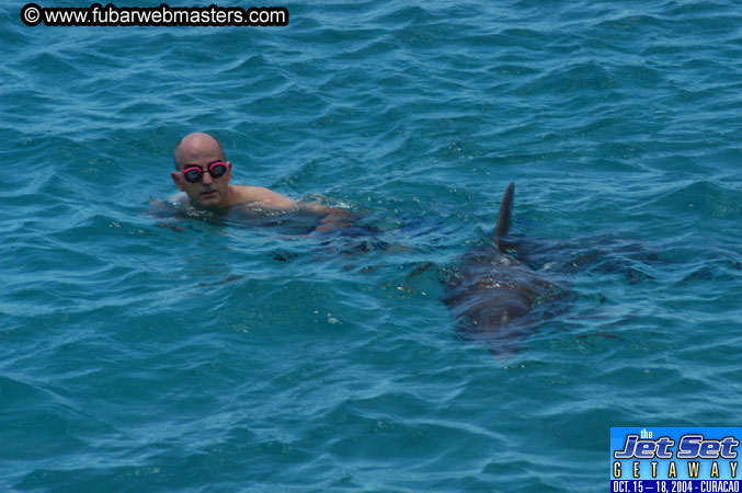 Saturday'sDolphin Swim Adventure and Animal Encounter 2004