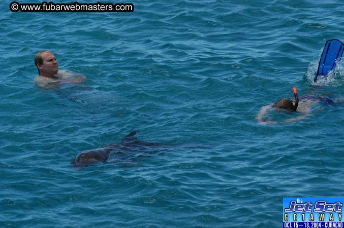 Saturday'sDolphin Swim Adventure and Animal Encounter 2004