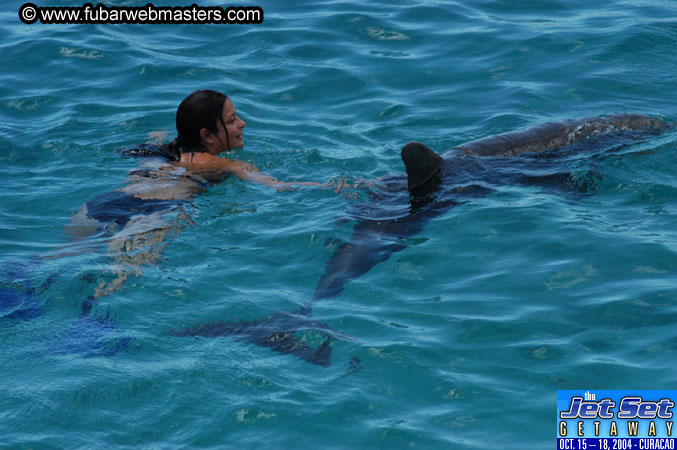 Saturday'sDolphin Swim Adventure and Animal Encounter 2004