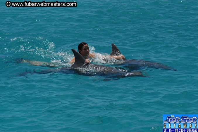 Saturday'sDolphin Swim Adventure and Animal Encounter 2004