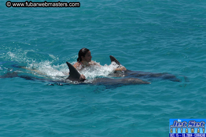 Saturday'sDolphin Swim Adventure and Animal Encounter 2004