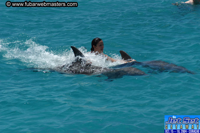 Saturday'sDolphin Swim Adventure and Animal Encounter 2004