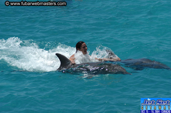 Saturday'sDolphin Swim Adventure and Animal Encounter 2004