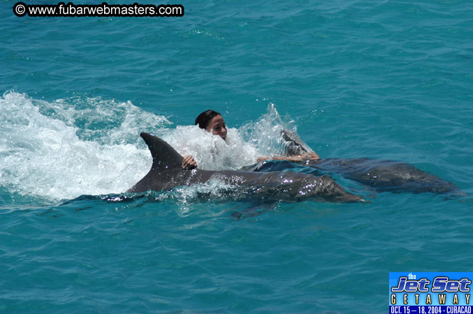 Saturday'sDolphin Swim Adventure and Animal Encounter 2004