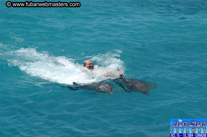 Saturday'sDolphin Swim Adventure and Animal Encounter 2004