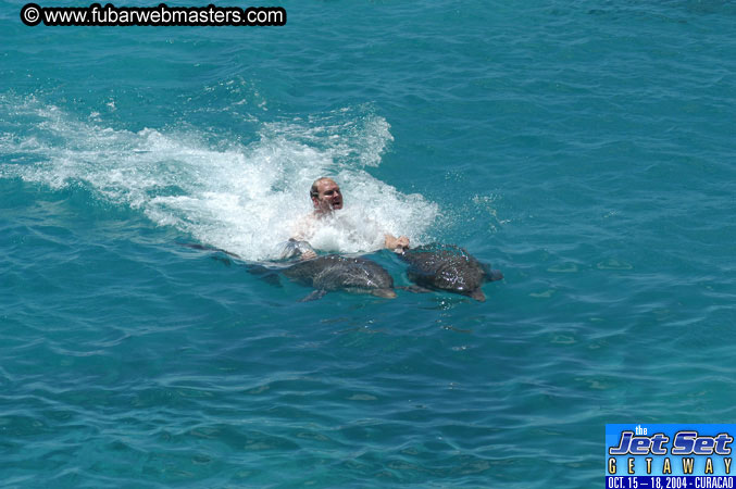 Saturday'sDolphin Swim Adventure and Animal Encounter 2004