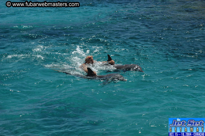 Saturday'sDolphin Swim Adventure and Animal Encounter 2004