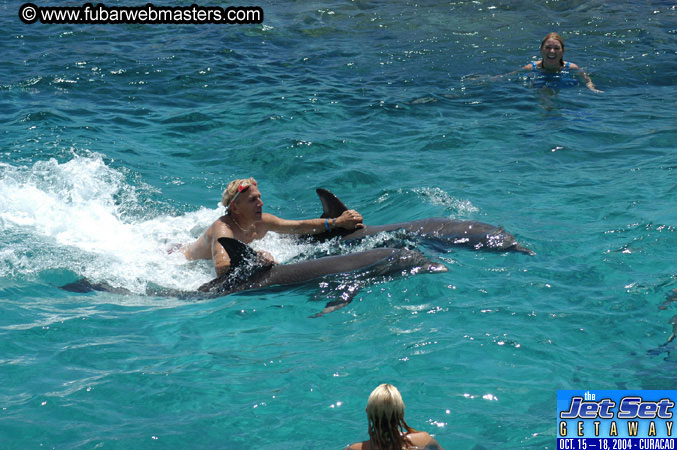 Saturday'sDolphin Swim Adventure and Animal Encounter 2004