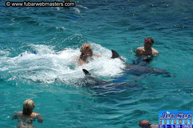 Saturday'sDolphin Swim Adventure and Animal Encounter 2004
