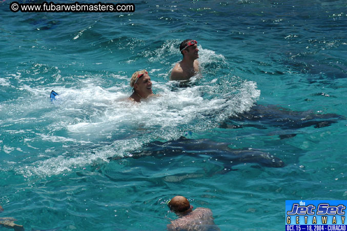 Saturday'sDolphin Swim Adventure and Animal Encounter 2004