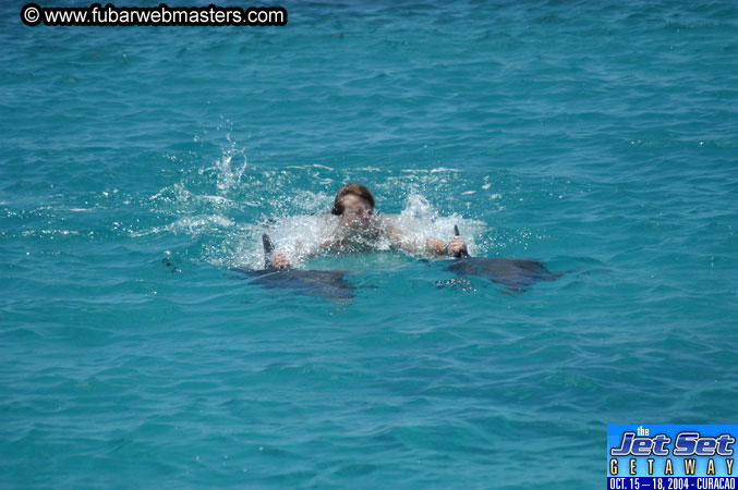 Saturday'sDolphin Swim Adventure and Animal Encounter 2004