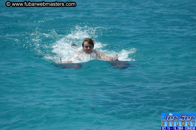 Saturday'sDolphin Swim Adventure and Animal Encounter 2004