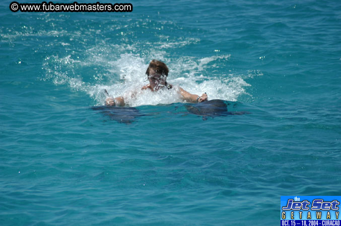 Saturday'sDolphin Swim Adventure and Animal Encounter 2004