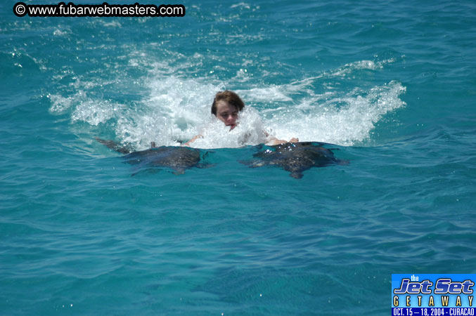 Saturday'sDolphin Swim Adventure and Animal Encounter 2004