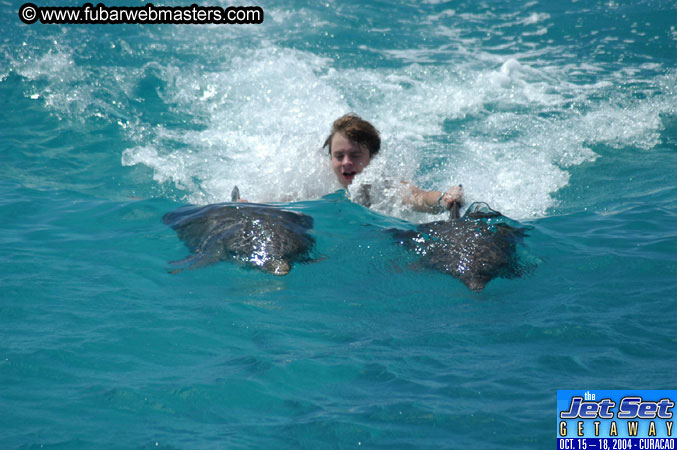 Saturday'sDolphin Swim Adventure and Animal Encounter 2004