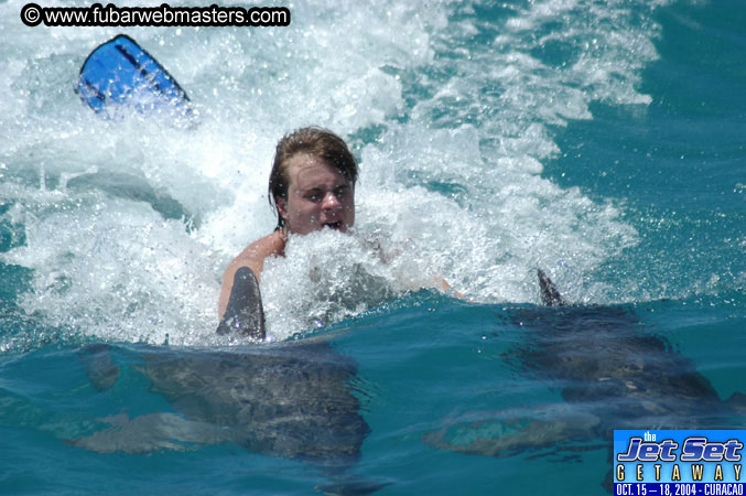 Saturday'sDolphin Swim Adventure and Animal Encounter 2004