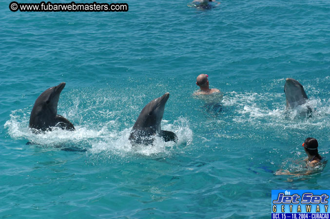 Saturday'sDolphin Swim Adventure and Animal Encounter 2004