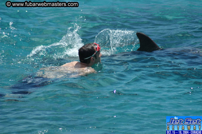 Saturday'sDolphin Swim Adventure and Animal Encounter 2004