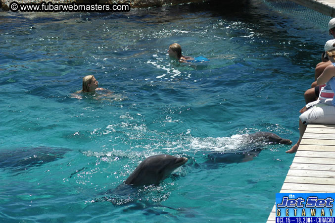Saturday'sDolphin Swim Adventure and Animal Encounter 2004