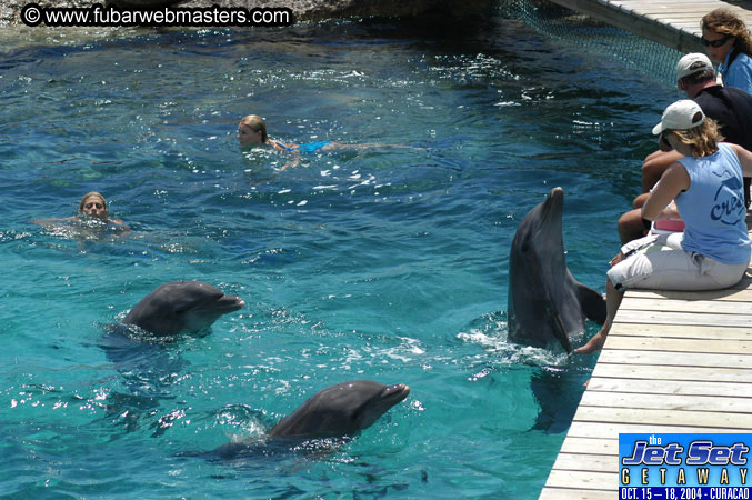 Saturday'sDolphin Swim Adventure and Animal Encounter 2004