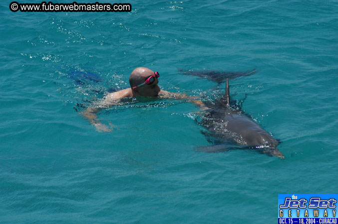 Saturday'sDolphin Swim Adventure and Animal Encounter 2004