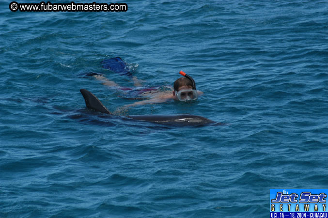 Saturday'sDolphin Swim Adventure and Animal Encounter 2004