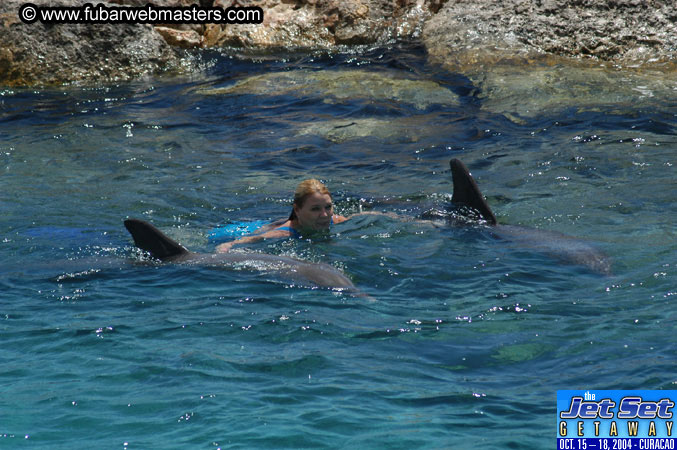 Saturday'sDolphin Swim Adventure and Animal Encounter 2004