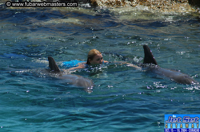 Saturday'sDolphin Swim Adventure and Animal Encounter 2004