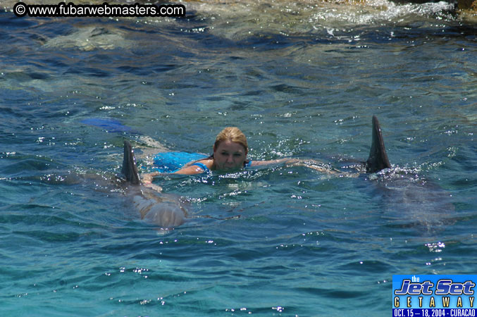 Saturday'sDolphin Swim Adventure and Animal Encounter 2004
