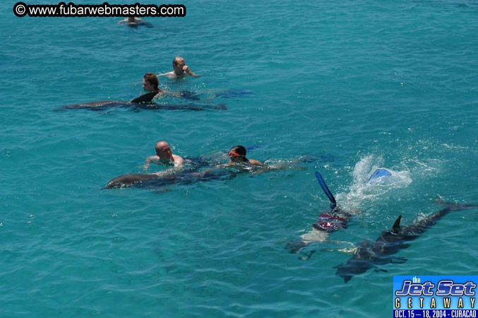 Saturday'sDolphin Swim Adventure and Animal Encounter 2004