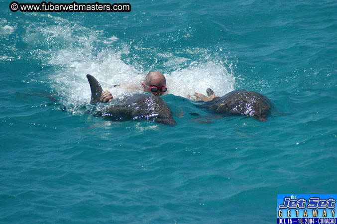 Saturday'sDolphin Swim Adventure and Animal Encounter 2004