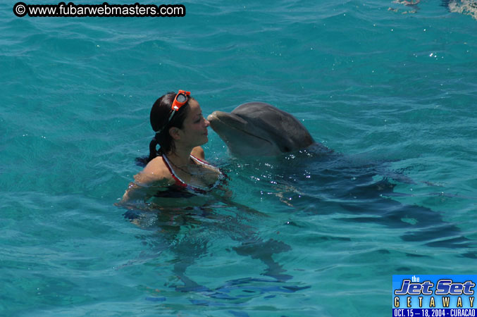 Saturday'sDolphin Swim Adventure and Animal Encounter 2004
