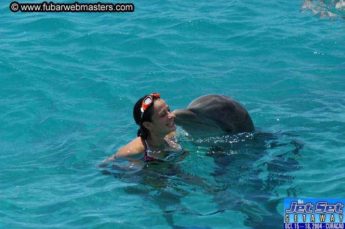 Saturday'sDolphin Swim Adventure and Animal Encounter 2004