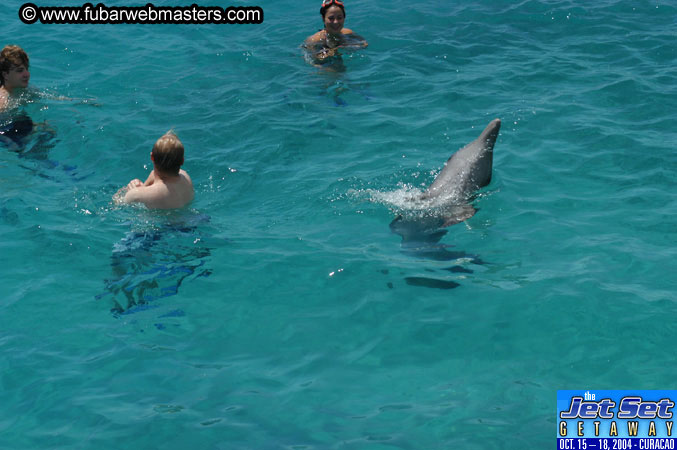 Saturday'sDolphin Swim Adventure and Animal Encounter 2004