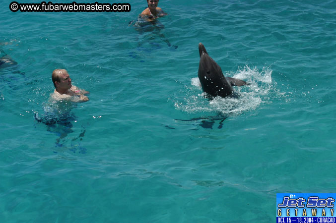 Saturday'sDolphin Swim Adventure and Animal Encounter 2004