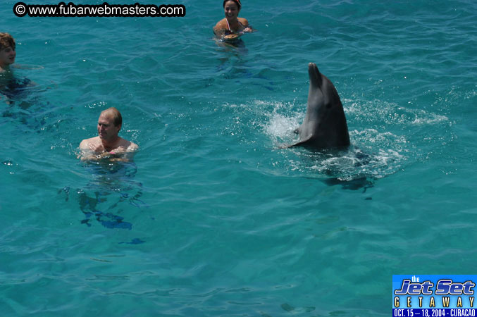 Saturday'sDolphin Swim Adventure and Animal Encounter 2004