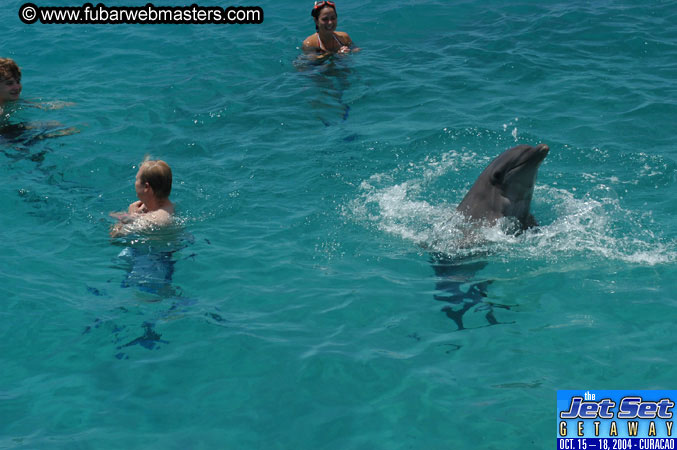 Saturday'sDolphin Swim Adventure and Animal Encounter 2004