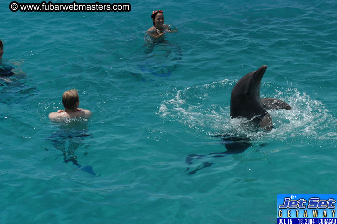 Saturday'sDolphin Swim Adventure and Animal Encounter 2004