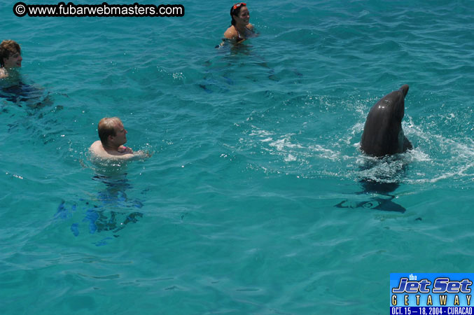 Saturday'sDolphin Swim Adventure and Animal Encounter 2004