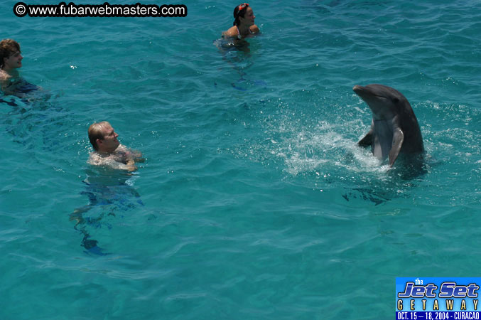 Saturday'sDolphin Swim Adventure and Animal Encounter 2004