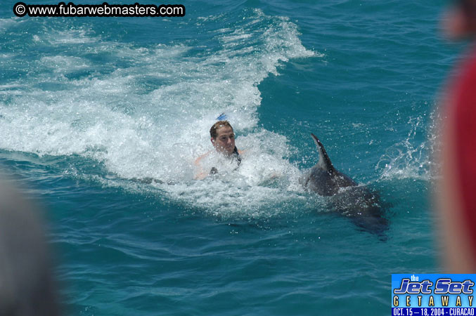 Saturday'sDolphin Swim Adventure and Animal Encounter 2004