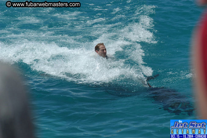 Saturday'sDolphin Swim Adventure and Animal Encounter 2004