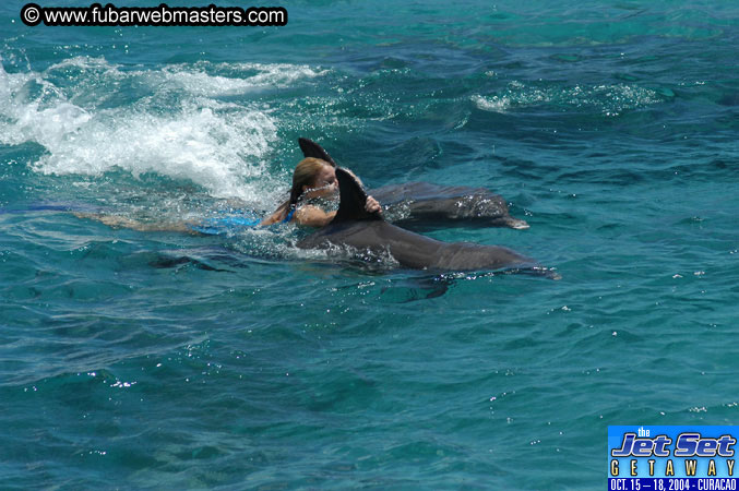 Saturday'sDolphin Swim Adventure and Animal Encounter 2004