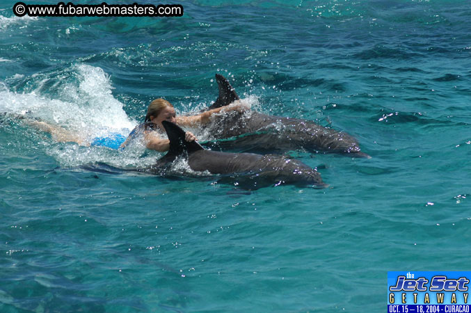 Saturday'sDolphin Swim Adventure and Animal Encounter 2004