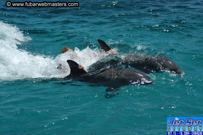 Saturday'sDolphin Swim Adventure and Animal Encounter 2004