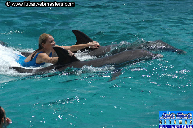 Saturday'sDolphin Swim Adventure and Animal Encounter 2004