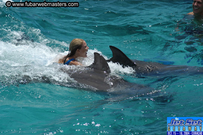Saturday'sDolphin Swim Adventure and Animal Encounter 2004